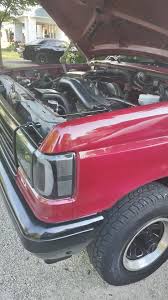 Image result for Wild Strawberry 1991 Bronco