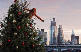 Maybe you would like to learn more about one of these? Iceland Foods On Twitter Spotted An Adult Orangutan Has Just Scaled A 20ft Christmas Tree On London S South Bank Nopalmoilchristmas