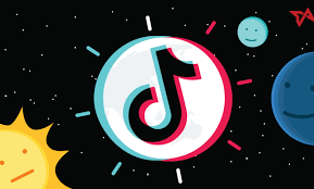 Download Video Tiktok Tanpa Watermark Pakai Snaptik How To Get Followers Download App Tok