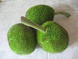 Identified ✔this spiky fruit (i.imgur.com). Cariibean Fruits Tropical Fruits Weird Fruit Best Fruits