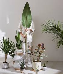 You Can Never Have Too Many Uohome Plant Decor Plants How many calculate how many plants or flowers you need.