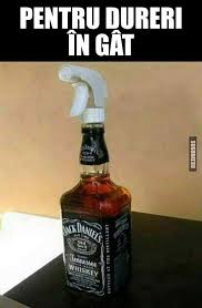 Cele mai multe dintre produsele noastre sunt transmise de fda, lfgb, ce si ca 65 de certificate, acestea sunt sigure. Pin On Imagini Amuzante