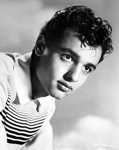 Unseen Innocence:' Did a Black Man Kill Actor Sal Mineo? &ndash; Los Angeles  Sentinel