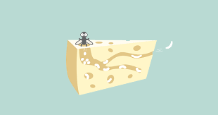 5 Amazing Facts About The Illegal Casu Marzu A K A The Most Dangerous Cheese In The World Casu marzu literally means rotten cheese, but in sardinia, it's a glory to behold. casu marzu
