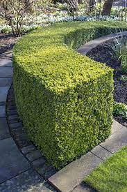 York Gate Garden In West Yorkshire Takes Design To A New Level Hedges Landscaping Garden Hedges Front Garden Ideas Driveway