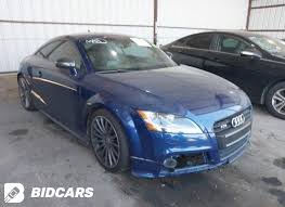 Image result for Scuba Blue 2014 TTS