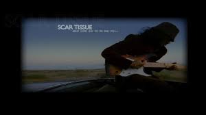 26.751.113 beğenme · 46.869 kişi bunun hakkında konuşuyor. Scar Tissue Red Hot Chili Peppers Il Significato Delle Canzoni
