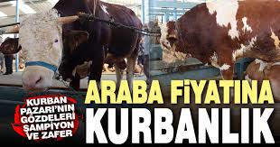 Denizlihaber Com Denizli Haberleri Araba Fiyatina Kurbanlik Denizlihaber Com Denizli Haber Denizli Nin En Cok Okunan Gazetesi