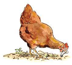 The resistance of hazelnut varieties to the nut weevil. Gardening With Chickens For Natural Pest Control Mother Earth News