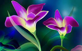 Choose from a curated selection of flower wallpapers for your mobile and desktop screens. Flowers Hd Download 1080p 2k 4k 5k Hd Wallpapers Free Download Wallpaper Flare