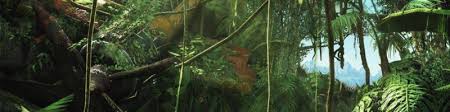 This season was shot in borneo, sabah, malaysia. Greg San Miguel Founder And Ceo Law Of The Jungle Linkedin