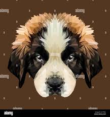 Bernard wolf Stock Vector Images