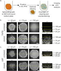 نتیجه جستجوی لغت [cleared] در گوگل