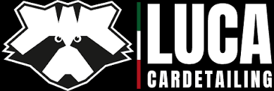 Pulizia E Lavaggio Auto Interni Esterni Torino Servizi