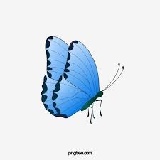 Blue Butterfly Butterfly Clipart Butterfly Png Transparent Clipart Image And Psd File For Free Download Butterfly Clip Art Blue Butterfly Butterfly Background