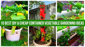 Best plants for vegetable gardening in containers. 10 Best Diy Cheap Container Vegetable Gardening Ideas Anyone Can Use Youtube