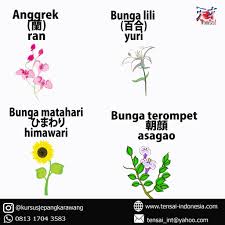 1.1 bunga dalam bahasa jepang. Nama Nama Bunga Dalam Bahasa Jepang Kursus Bahasa Jepang Facebook