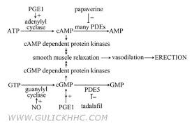 It allows the blood vessels to relax and expand, leading to an increased blood flow into the penis. Erectafil Generic Tadalafil 20 Mg Dosage Use Effects Price