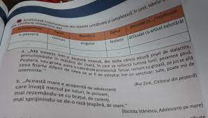 Inca din clasa a iv ati invatat sa rezolvati ecuatii in multimea numerelor naturale, ca de exemplu vi se adea o casuta + un anumit numar si egal cu alt definitie: Analizeaza Substantivele Din Textele Urmatoare Si Completeaza In Caiet Tabelul De Mai Jos Conform Brainly Ro