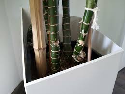 Natürlich ist jeder bambus pflanzkübel unmittelbar bei amazon im lager verfügbar und direkt lieferbar. Pflanzkubel Aus Holz Selber Bauen Anleitung In 6 Schritten 4 Varianten Hausbau In Bomschtown