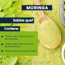 Pin Em Plantas Medicinales
