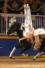 Pin By Aly Love Kozugulova On Interesting Thoughts Trick Riding Horse Vaulting Eventing Horses