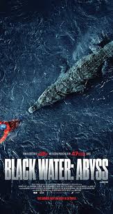 The film revolves around the story of an ordinary rickshaw driver in bihar who aspires and dreams of providing a maximum possible quality education to his son by making arrangements for him to study at a private english medium school. Black Water Abyss 2020 Imdb