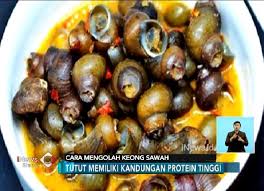 Download lagu keong sawah mp3. Begini Tips Mengolah Keong Sawah Yang Benar Agar Tidak Keracunan
