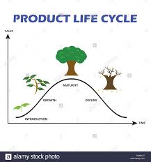 Product Life Cycle Chart Marketing Stock Photos Product