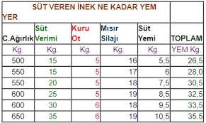 5 10 Ve 50 Baslik Buyukbas Hayvan Ciftligi Maliyeti Ve Proje Ornekleri