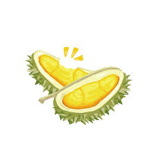 On freepngimg.com you can download free png images, pictures, icons in different sizes. Sáº§u Rieng Chin Cay Má»™c Home Facebook