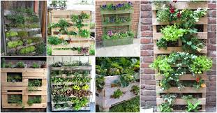 Like vertical pocket gardens, pallets are portable and attractive, and can grow delicious food with hardly taking up any room at all. The Easiest Vertical Garden Made With Pallets See How To Make It