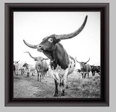 Black And White Cow Framed Pictures Longhorn Canvas Print Or Photo Print Black And White For Your Etsy Animal Wall Art Cow Photos Large Prints