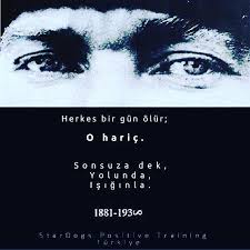 Pozitif Kopek Egitim Merkezi Kopek Egitimi Kopek Egitim