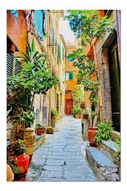 We did not find results for: Buy Colorful Plant Lined Old Street In The Cinque Terre Village Of Vernazza Italy 9011873 20x30 Premium 1000 Piece Jigsaw Puzzle Made In Usa Online In Kuwait 574555239