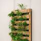 Mini Living Wall Workshop event in Corning, NY