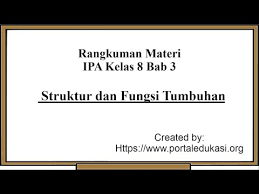 Check spelling or type a new query. Rangkuman Materi Ipa Kelas 8 Bab 3 Struktur Dan Fungsi Tumbuhan Youtube