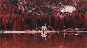 Find out what it is like to be colour blind by exploring the many links from this page to other websites which have been produced to show people with normal colour vision what it is like to live in a colour blind world. Photos What The World Looks Like When You Re Color Blind