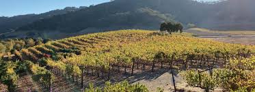 Jessica Frisz and Marcus Chance's Wedding Registry