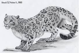 Snow Leopard By Chaoscurry On Deviantart Bottle feeding a baby snow leopard. snow leopard by chaoscurry on deviantart