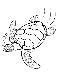Ninja turtles coloring pages donatello high quality. Turtle Coloring Pages Pdf Coloring And Malvorlagan