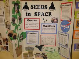 Biology Science Fair Projects For 9th Grade The Science Of My Life April 2012 Science Fair Easy Science Fair Projects Science Fair Board