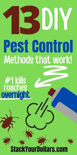 16 oz suspend sc pest insecticide bedbug roach flea spider slivsh control. Easy Diy Pest Control Methods Stack Your Dollars