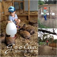 Creating an amazing birthday party experience is something that we love to do. Goolwa Animal Farm A Family Farm For Great Outdoor Play What S On For Adelaide Families Kidswhat S On For Adelaide Families Kids