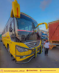 Image result for Maerua bussei