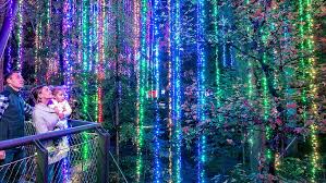 Everyone had a wonderful time. Atlanta Botanical Garden Christmas Lights 2018