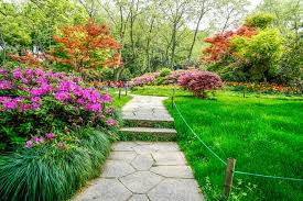 Fotos de Lindo jardim - Baixe fotos grátis de alta qualidade | Freepik