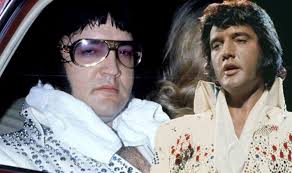 We did not find results for: Elvis Presley Alive New Photo From 20 Years After King S Death Appears Music Entertainment Express Co Uk