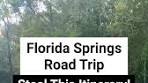 This Florida Springs Road Trip is something that I do every ...