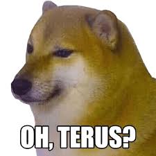 Shiba inu dogecoin, lainnya, carnivoran, anjing seperti mamalia, yang lain png. 230 Ide Domge Di 2021 Lucu Anjing Meme Anjing